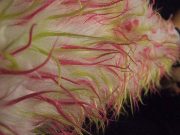 White Fur with Pink and Yellow spikes