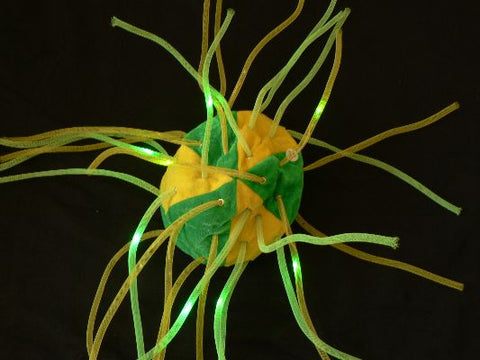 products/6bd6b06fd388818ae0a266da72e93a71.jpg