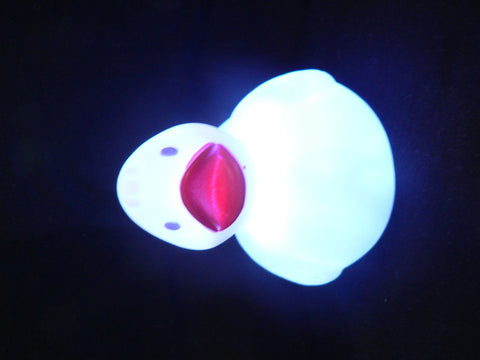 products/8bf72c9b04b2c460da4165823ec9b2b3_84b04707-79be-4109-9507-a30a97846435.jpg
