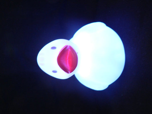 lit up floating duck