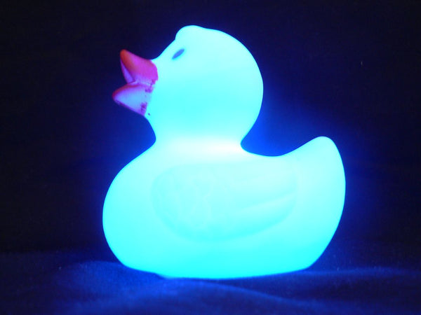 lit up LED duck
