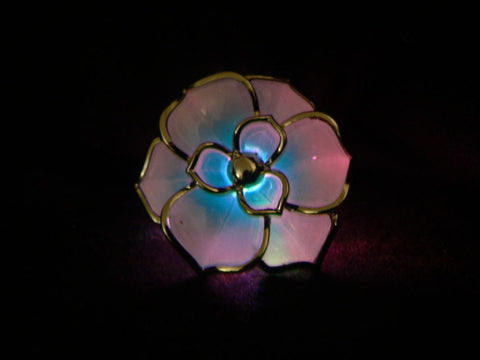 products/b1d7381c2e46340cea53d483f4fd055f.jpg