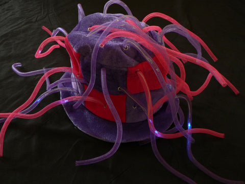 products/cc5af273986f944439d9e0908811fc3f.jpg